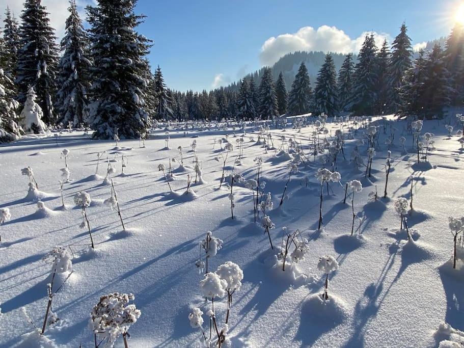 Dans Hameau, Pres Des Pistes Logement De Plein Pied Au Calme Taninges Esterno foto